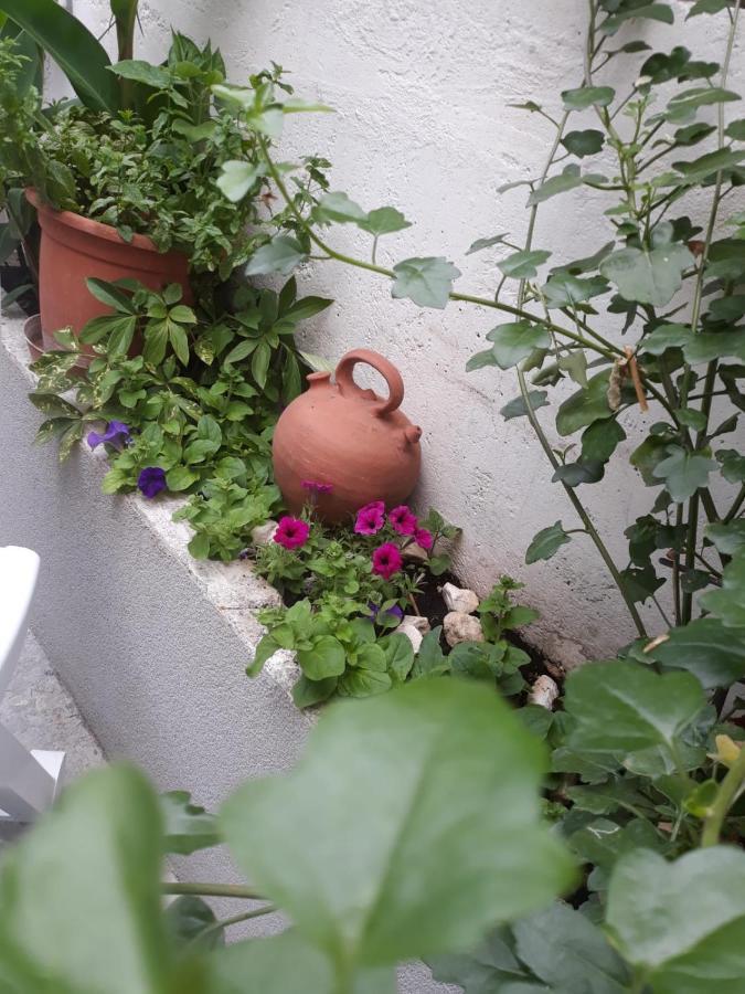 Apartment Alena Trogir
